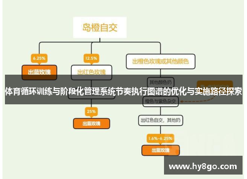 体育循环训练与阶段化管理系统节奏执行图谱的优化与实施路径探索